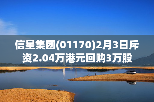 信星集团(01170)2月3日斥资2.04万港元回购3万股