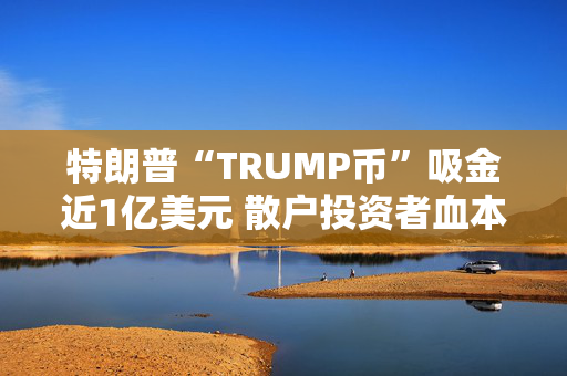 特朗普“TRUMP币”吸金近1亿美元 散户投资者血本无归