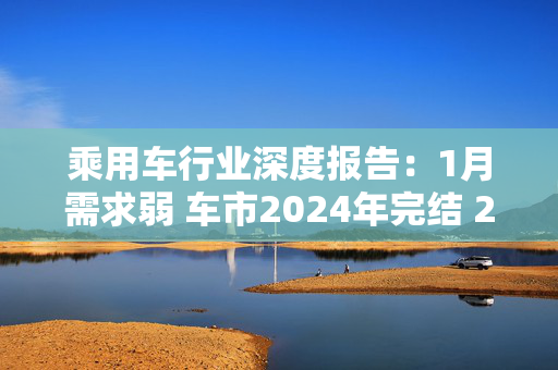 乘用车行业深度报告：1月需求弱 车市2024年完结 2025年智驾迎拐点