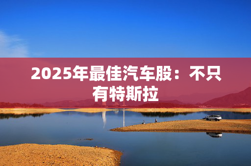 2025年最佳汽车股：不只有特斯拉