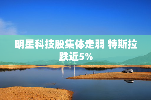 明星科技股集体走弱 特斯拉跌近5%