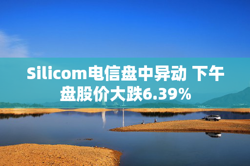 Silicom电信盘中异动 下午盘股价大跌6.39%