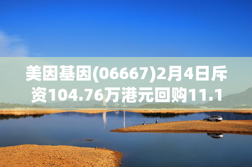 美因基因(06667)2月4日斥资104.76万港元回购11.12万股