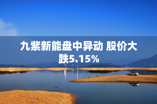 九紫新能盘中异动 股价大跌5.15%