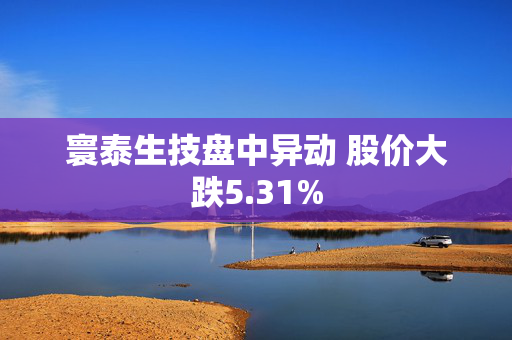 寰泰生技盘中异动 股价大跌5.31%