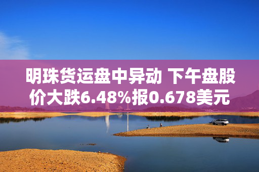 明珠货运盘中异动 下午盘股价大跌6.48%报0.678美元