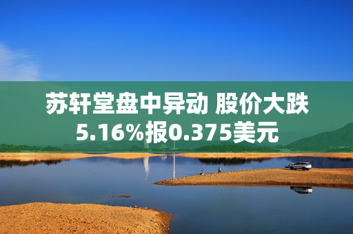 苏轩堂盘中异动 股价大跌5.16%报0.375美元