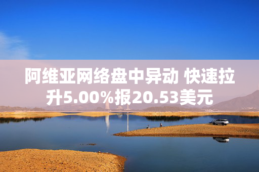 阿维亚网络盘中异动 快速拉升5.00%报20.53美元