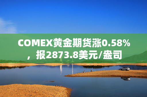 COMEX黄金期货涨0.58%，报2873.8美元/盎司