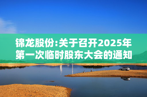 锦龙股份:关于召开2025年第一次临时股东大会的通知