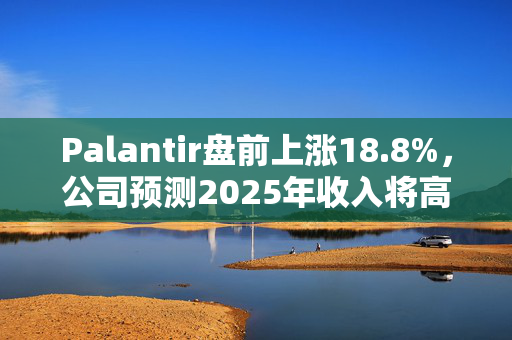 Palantir盘前上涨18.8%，公司预测2025年收入将高于预期