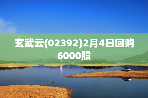 玄武云(02392)2月4日回购6000股