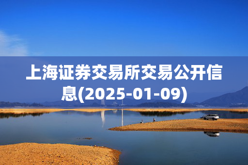 上海证券交易所交易公开信息(2025-01-09)