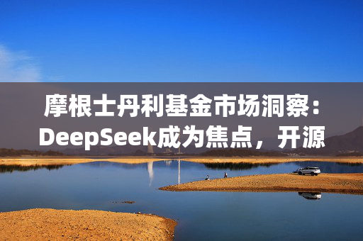 摩根士丹利基金市场洞察：DeepSeek成为焦点，开源与创新加速AI应用爆发