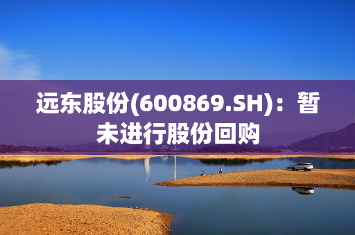 远东股份(600869.SH)：暂未进行股份回购