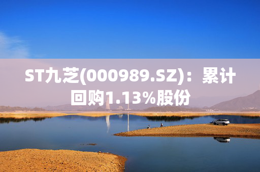 ST九芝(000989.SZ)：累计回购1.13%股份