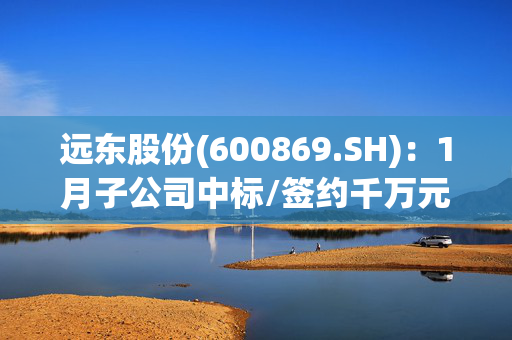 远东股份(600869.SH)：1月子公司中标/签约千万元以上合同订单合计为14.27亿元