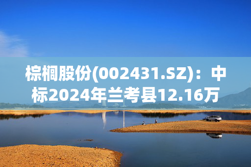 棕榈股份(002431.SZ)：中标2024年兰考县12.16万亩高标准农田建设项目第一标段