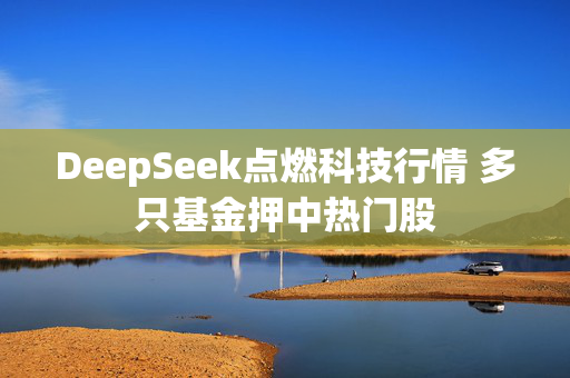 DeepSeek点燃科技行情 多只基金押中热门股