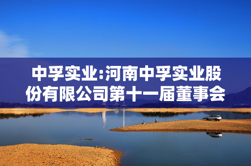 中孚实业:河南中孚实业股份有限公司第十一届董事会第三次会议决议公告