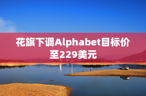 花旗下调Alphabet目标价至229美元