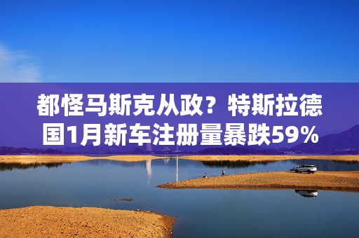 都怪马斯克从政？特斯拉德国1月新车注册量暴跌59%