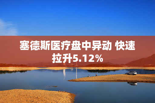 塞德斯医疗盘中异动 快速拉升5.12%