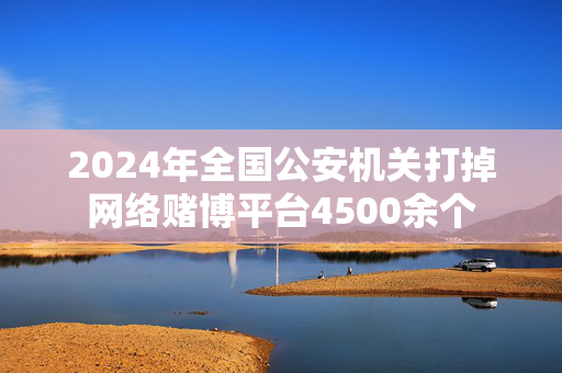 2024年全国公安机关打掉网络赌博平台4500余个