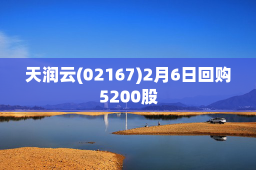 天润云(02167)2月6日回购5200股