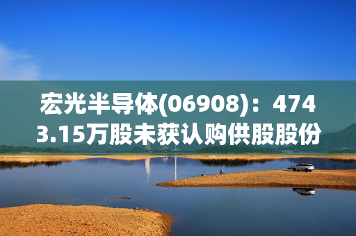 宏光半导体(06908)：4743.15万股未获认购供股股份已成功配售