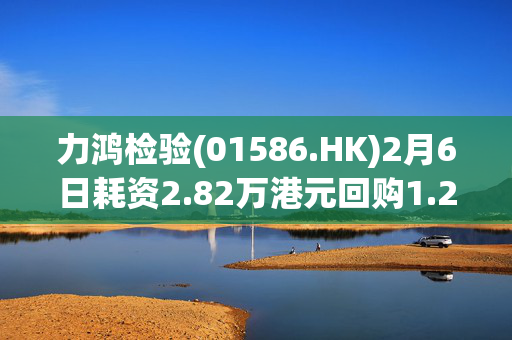 力鸿检验(01586.HK)2月6日耗资2.82万港元回购1.2万股