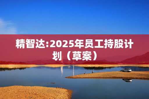 精智达:2025年员工持股计划（草案）