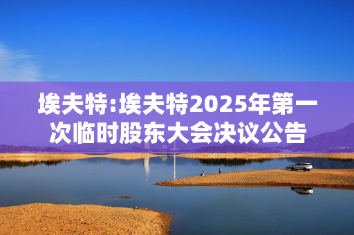 埃夫特:埃夫特2025年第一次临时股东大会决议公告