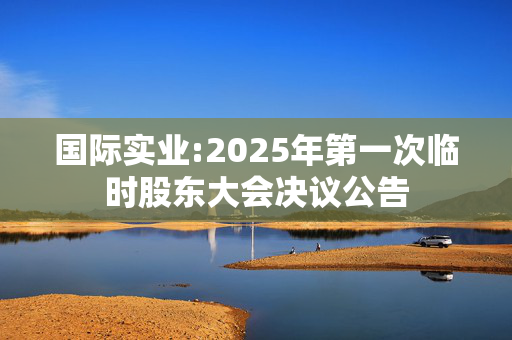 国际实业:2025年第一次临时股东大会决议公告