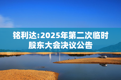 铭利达:2025年第二次临时股东大会决议公告