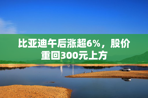 比亚迪午后涨超6%，股价重回300元上方