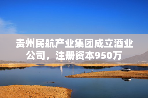 贵州民航产业集团成立酒业公司，注册资本950万