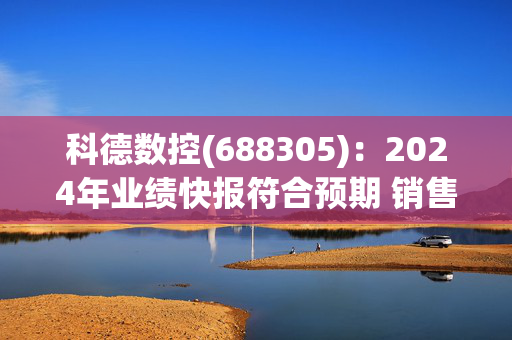 科德数控(688305)：2024年业绩快报符合预期 销售订单快速增长