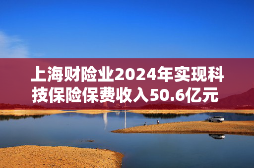 上海财险业2024年实现科技保险保费收入50.6亿元 保额超25万亿元