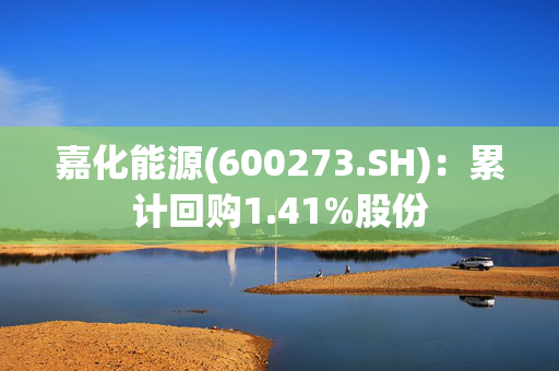 嘉化能源(600273.SH)：累计回购1.41%股份