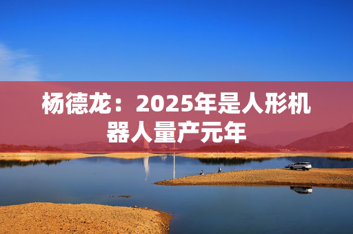 杨德龙：2025年是人形机器人量产元年