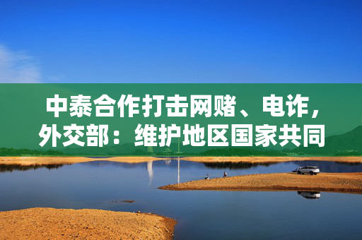 中泰合作打击网赌、电诈，外交部：维护地区国家共同利益的必然选择