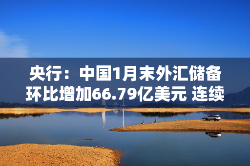 央行：中国1月末外汇储备环比增加66.79亿美元 连续三个月增持黄金