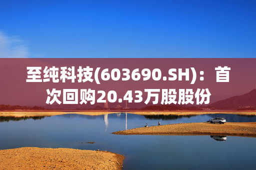 至纯科技(603690.SH)：首次回购20.43万股股份