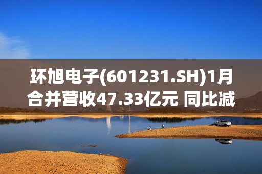 环旭电子(601231.SH)1月合并营收47.33亿元 同比减少8.83%