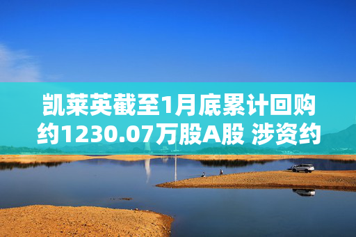 凯莱英截至1月底累计回购约1230.07万股A股 涉资约9.996亿元