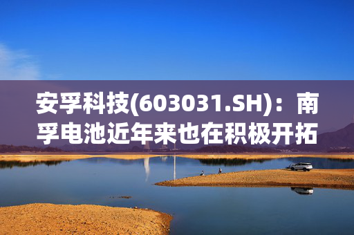 安孚科技(603031.SH)：南孚电池近年来也在积极开拓海外市场，OEM业务前期也取得了较快增长