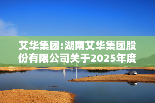 艾华集团:湖南艾华集团股份有限公司关于2025年度银行授信及授权的公告