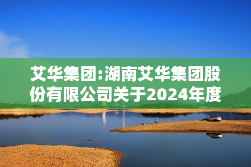 艾华集团:湖南艾华集团股份有限公司关于2024年度日常关联交易情况及2025年度日常关联交易预计情况的公告