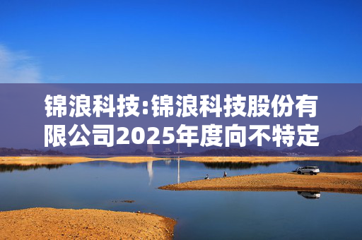 锦浪科技:锦浪科技股份有限公司2025年度向不特定对象发行可转换公司债券募集资金使用可行性分析报告